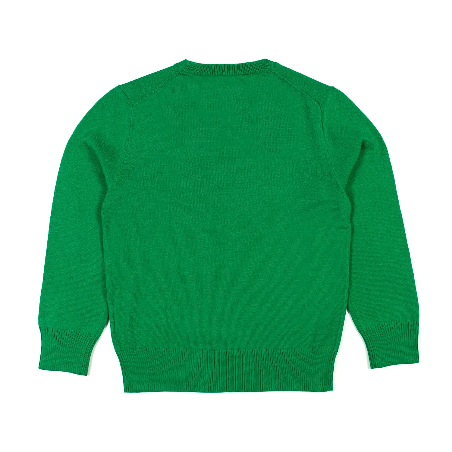 Ralph Lauren Green Rl Pullover For Kids And Teens