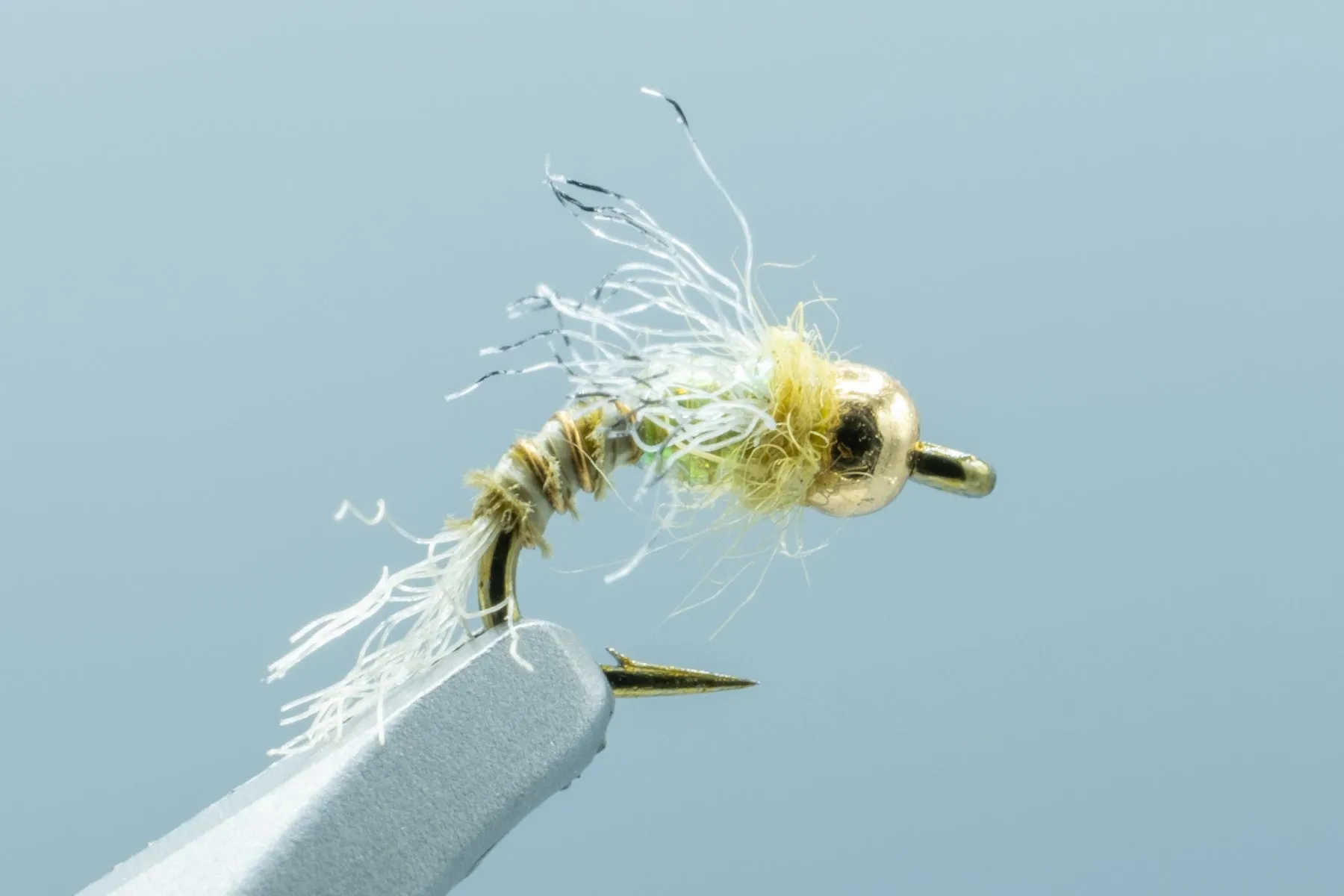 Shotglass Baetis Olive #18