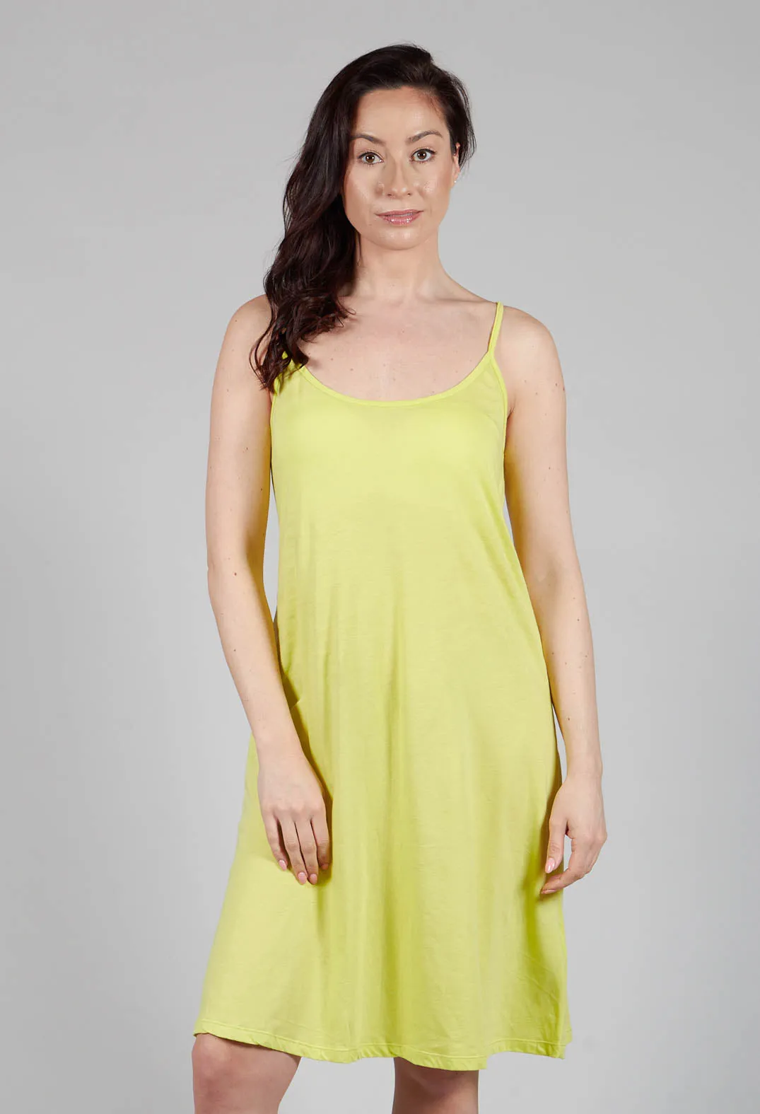 Slip Dress in Lime