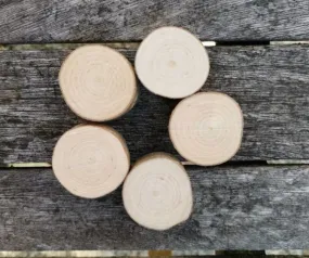 Wooden Counters